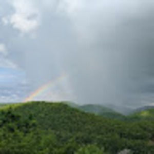 Meet your Posher, Kimberlee